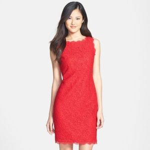 Arianna Papell Boatneck lace dress